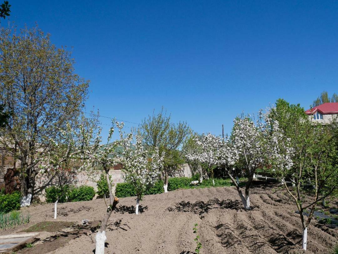 Karin's B&B Sisian Dış mekan fotoğraf
