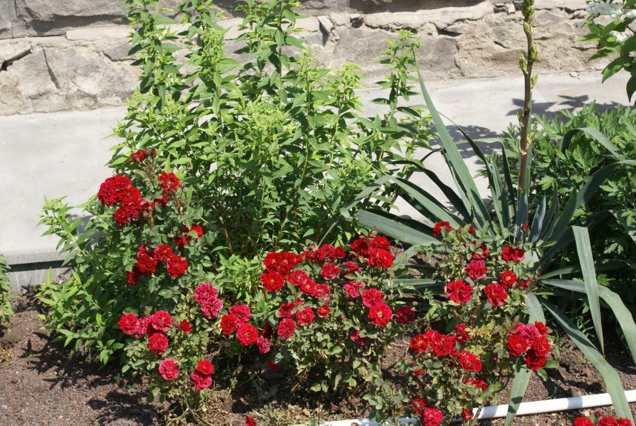 Karin's B&B Sisian Dış mekan fotoğraf