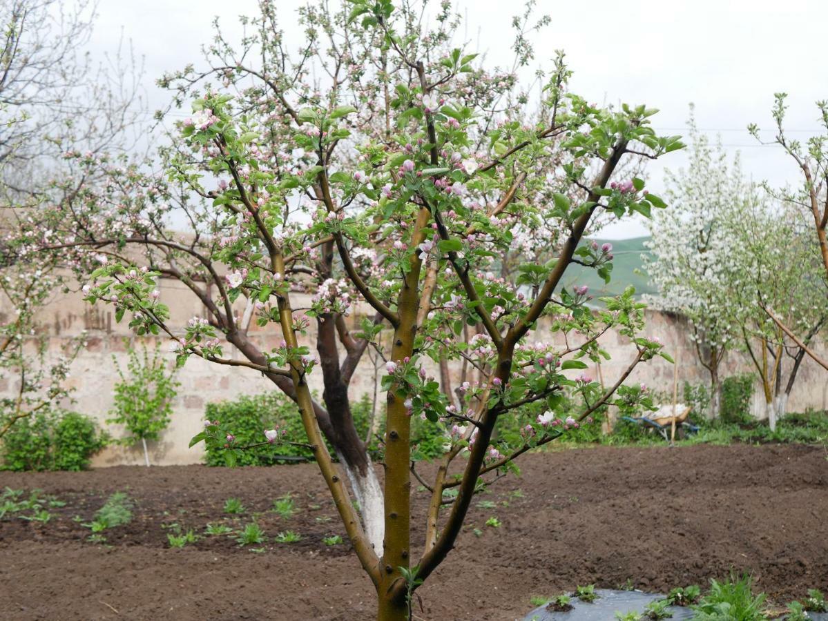 Karin's B&B Sisian Dış mekan fotoğraf